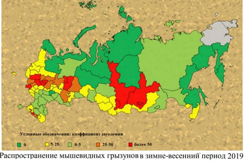 «Россельхозцентр» опубликовал прогноз по болезням и вредителям-2020 